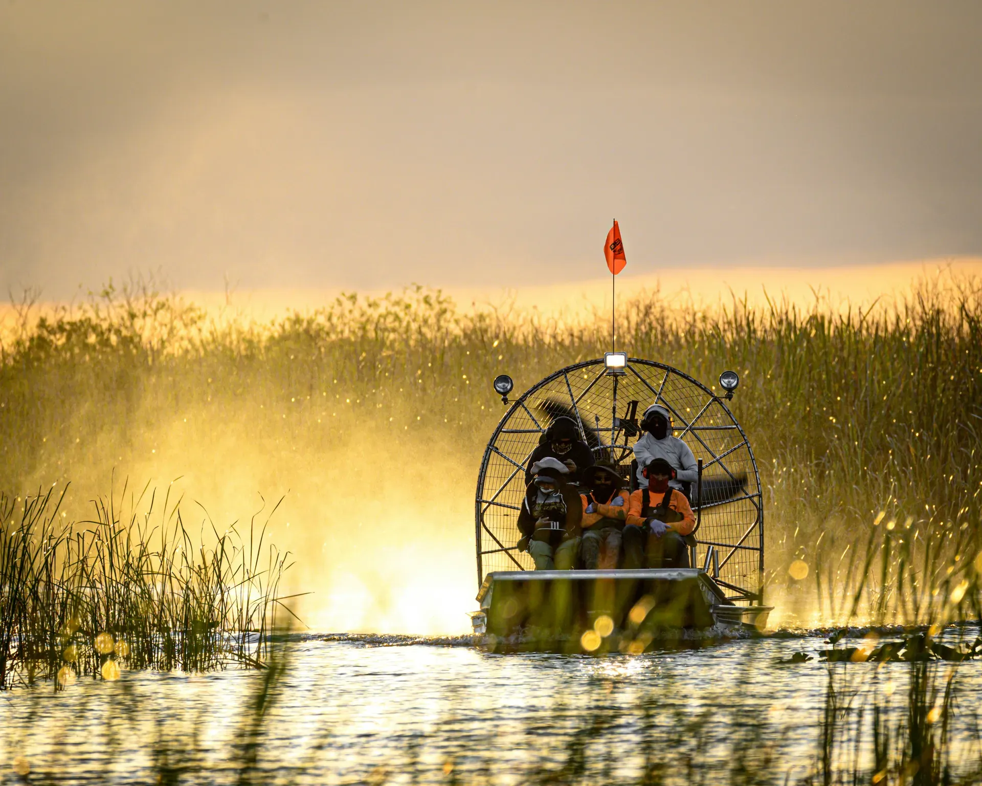 Everglades