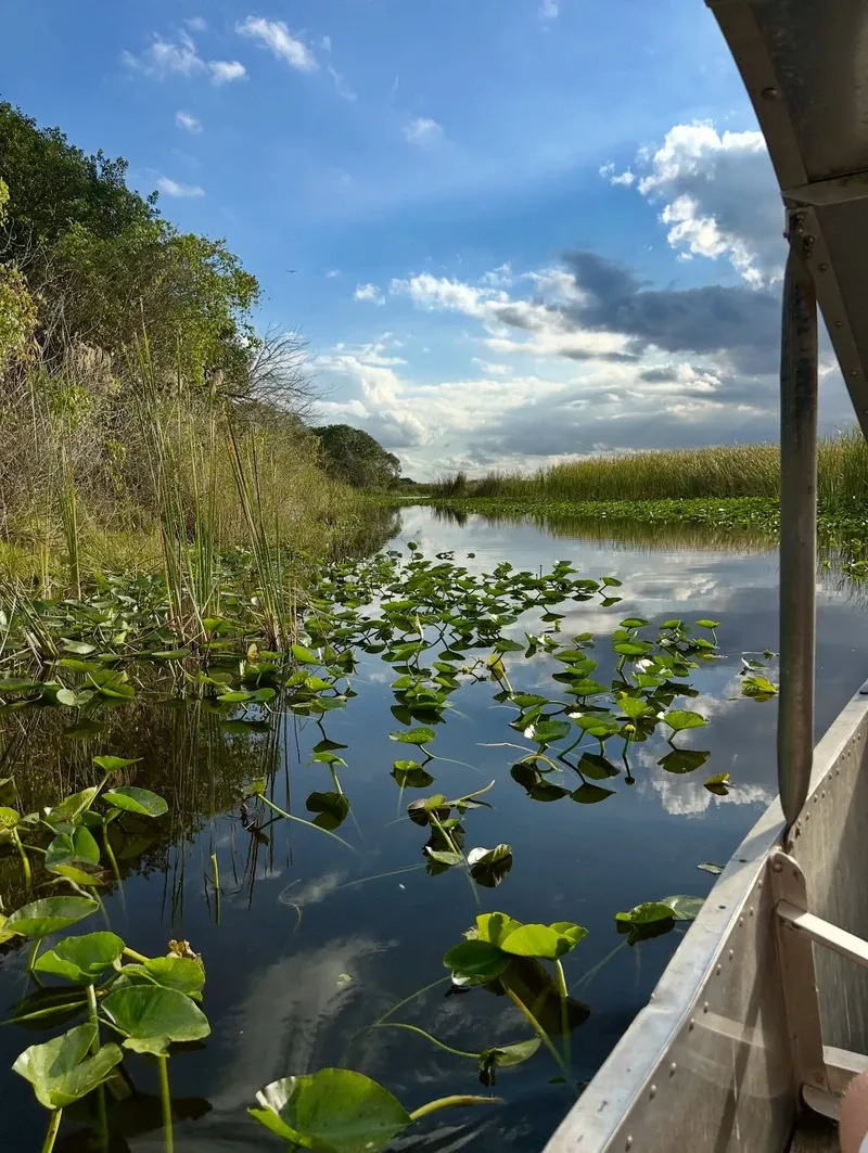 Everglades view 1